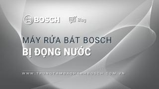 Máy rửa bát Bosch bị đọng nước: 5 nguyên nhân & Cách khắc phục